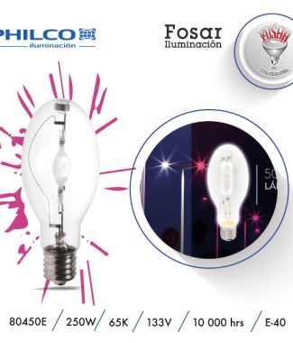 80450E  250W E-40 PHILCO